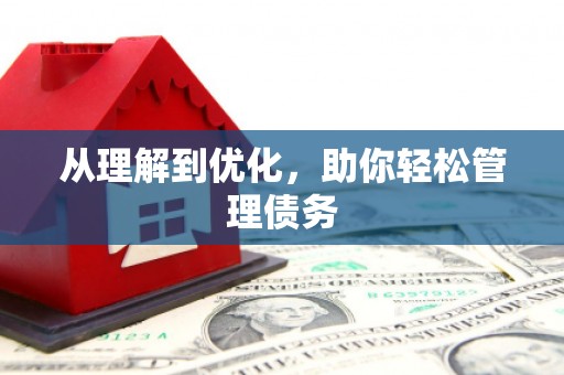 天桥从理解到优化，助你轻松管理债务