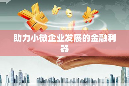 略阳助力小微企业发展的金融利器