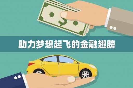 澧县助力梦想起飞的金融翅膀
