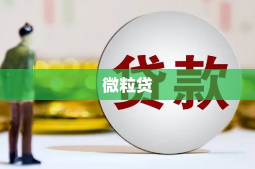 荔城微粒贷