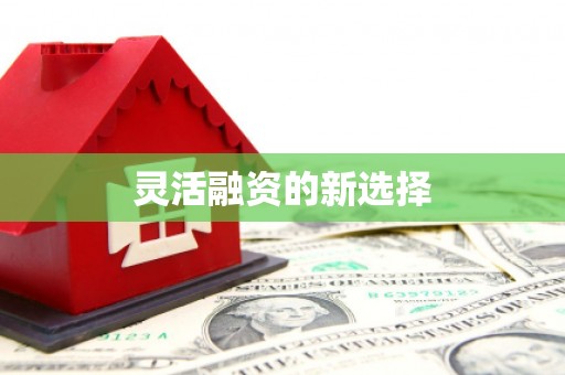 威海灵活融资的新选择