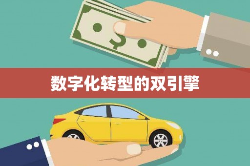 紫阳数字化转型的双引擎