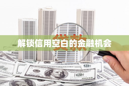 宝兴解锁信用空白的金融机会