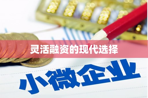 电白灵活融资的现代选择