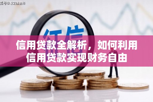 麻豆信用贷款全解析，如何利用信用贷款实现财务自由
