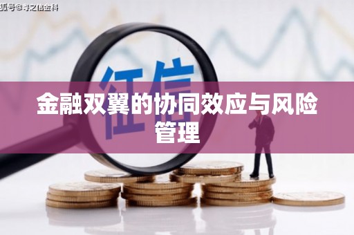 贞丰金融双翼的协同效应与风险管理