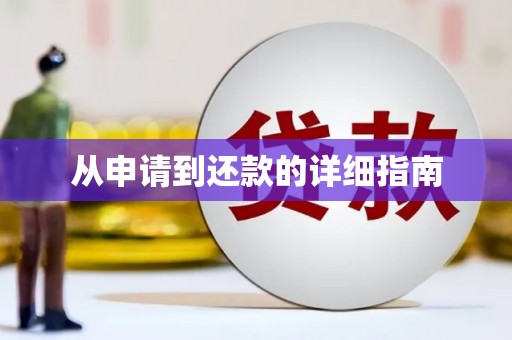 西夏从申请到还款的详细指南