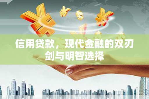 吴忠信用贷款，现代金融的双刃剑与明智选择